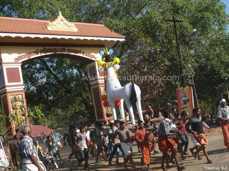 mangad-pooram-2013 (7)